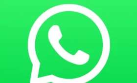 Meta AI di whatsapp