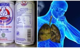 Susu Bear Brand untuk Paru-Paru Sehat, Mitos atau Fakta?