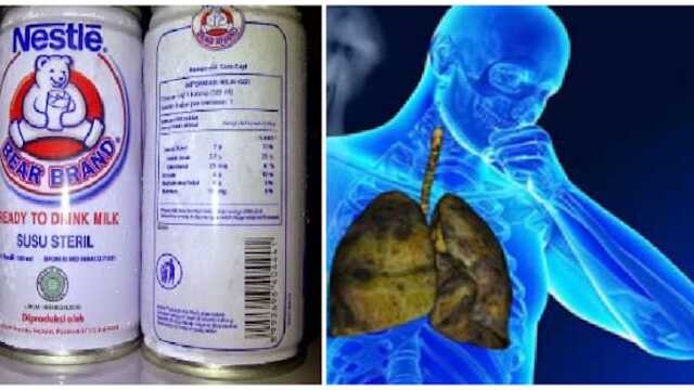 Susu Bear Brand untuk Paru-Paru Sehat, Mitos atau Fakta?